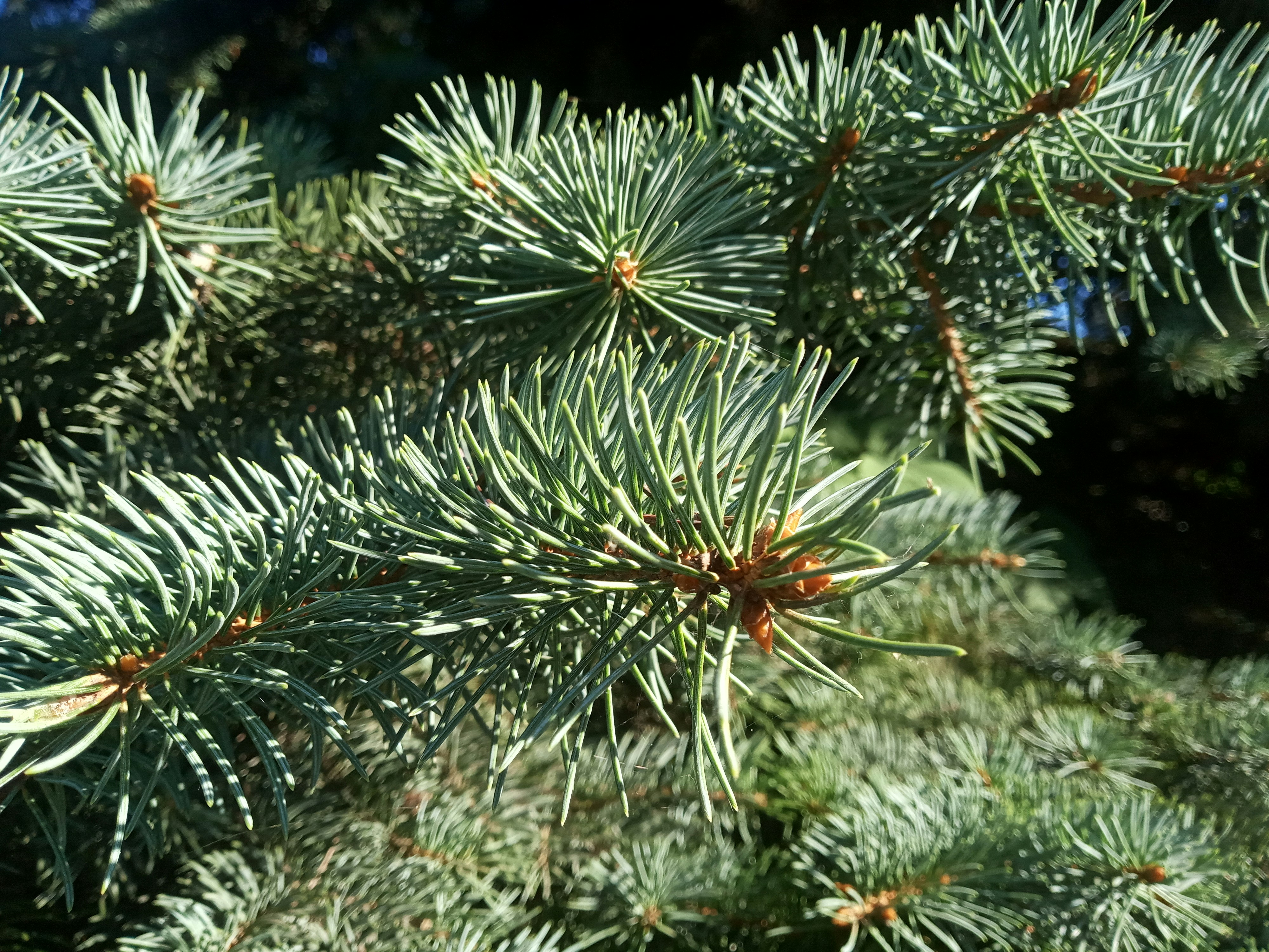 Photo by dmitry_burdakov