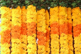 Brightly colored flower garlands made of yellow and orange marigold flowers with green leaves at the top, arranged in vertical rows.