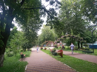 A lush park pathway lined with blooming flowers and people strolling peacefully.