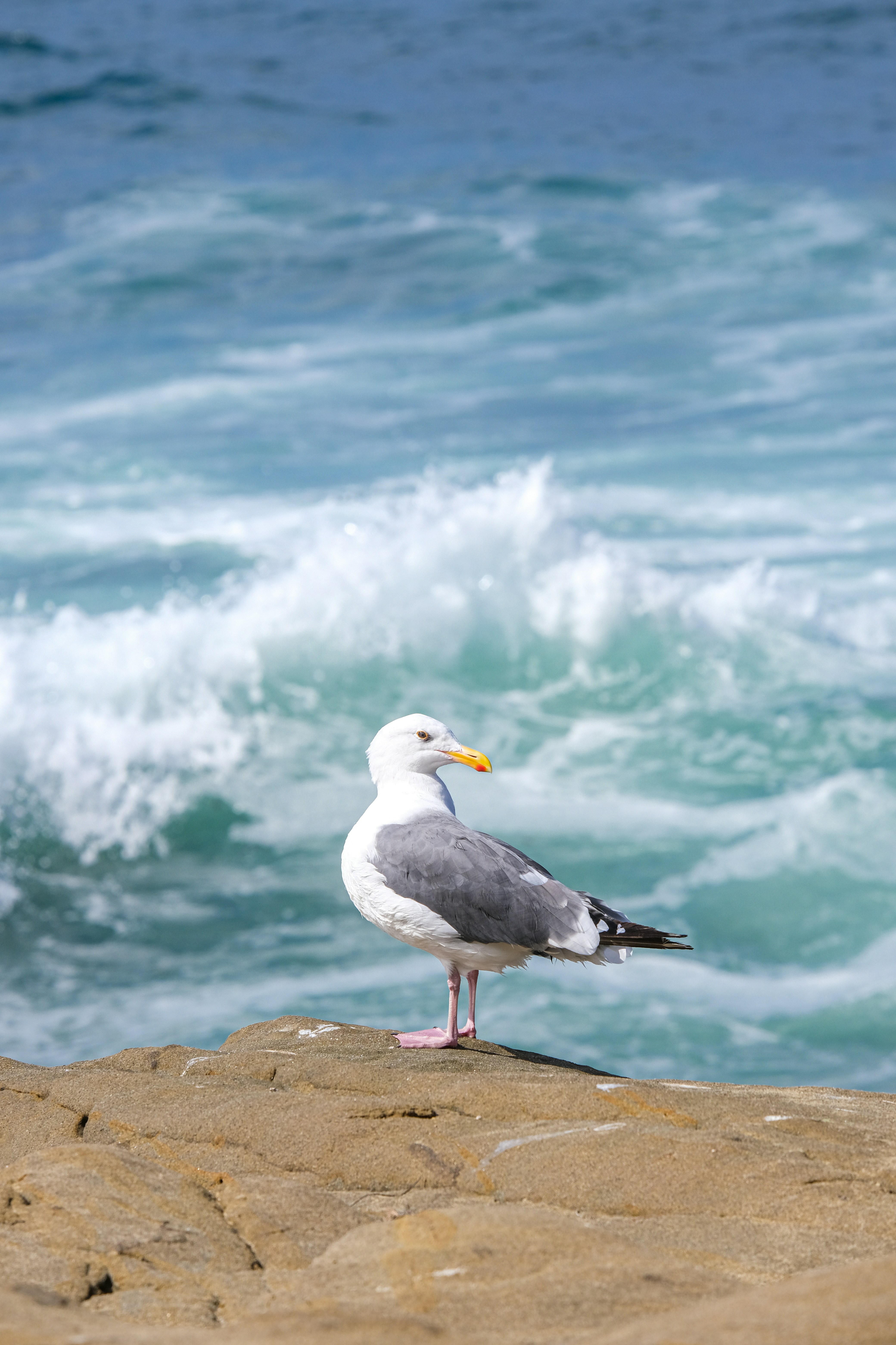 Photo by cestmoisheedy