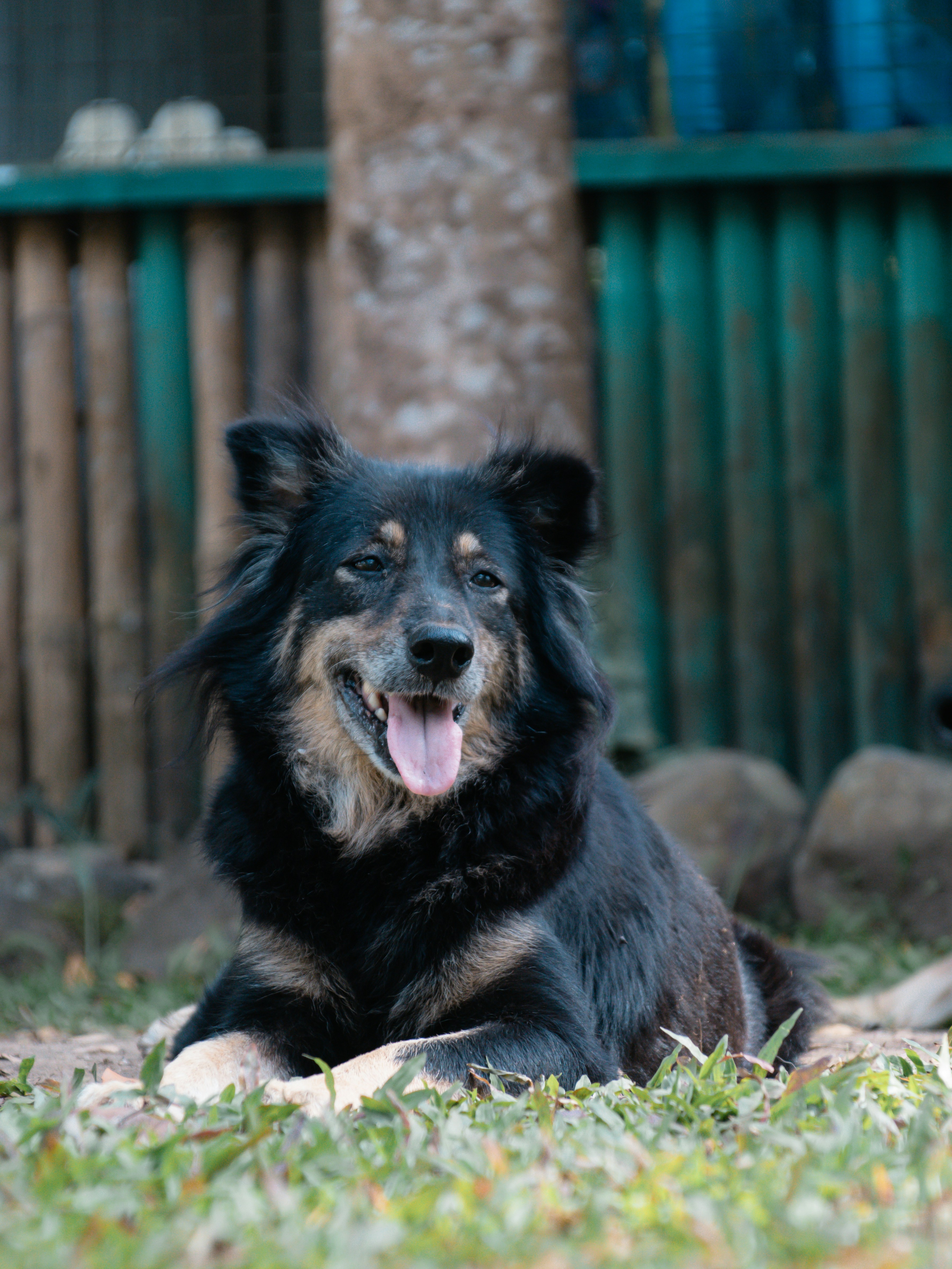 Photo by bhongbahala10