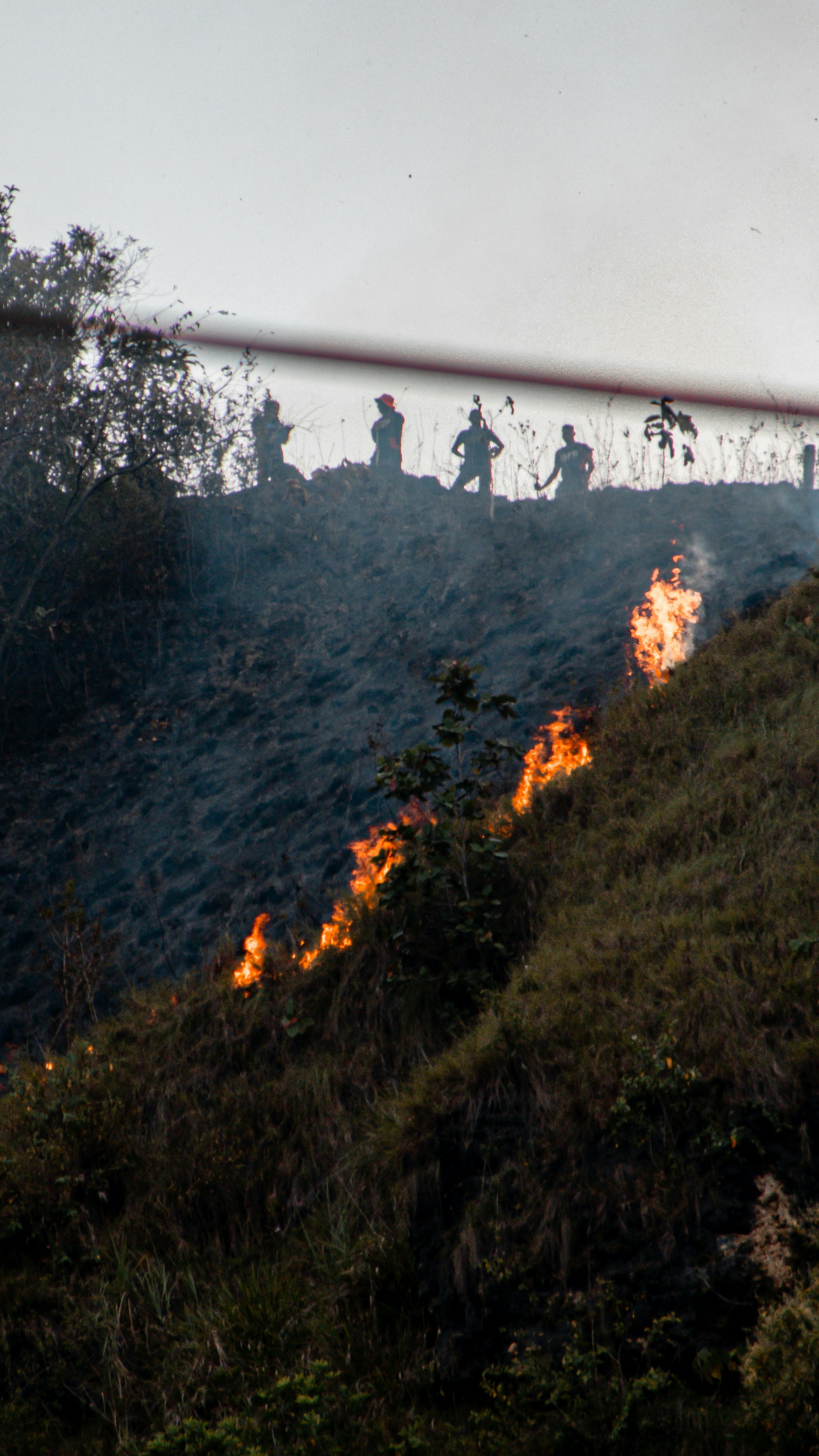 Photo by bhongbahala10