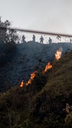 A consultant assessing a wildfire risk area on a California hillside.