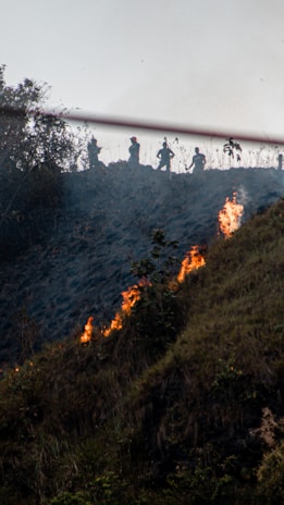 A hillside with flames visible along the slope and silhouetted figures standing on the ridge. The terrain is covered in grass and surrounded by some trees.