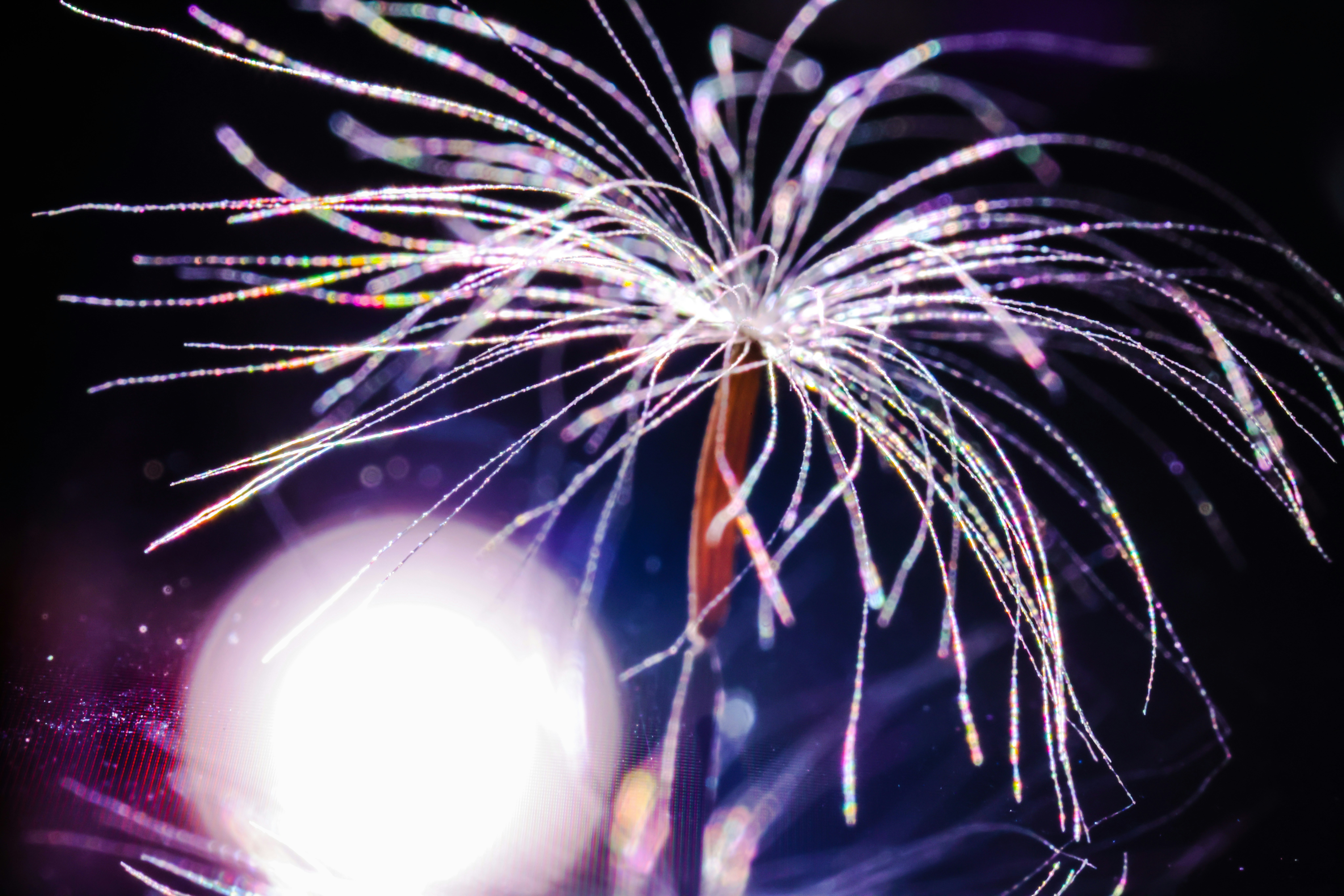 Photo by dickenslin76