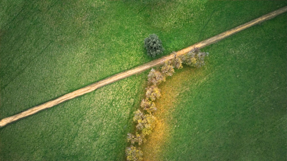 an aerial view of a dirt road in a green field