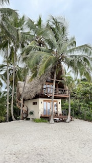 A tropical hut is surrounded by tall palm trees on a sandy beach. The hut has a thatched roof and a wooden porch with chairs. There is a winding staircase on the side of the building.