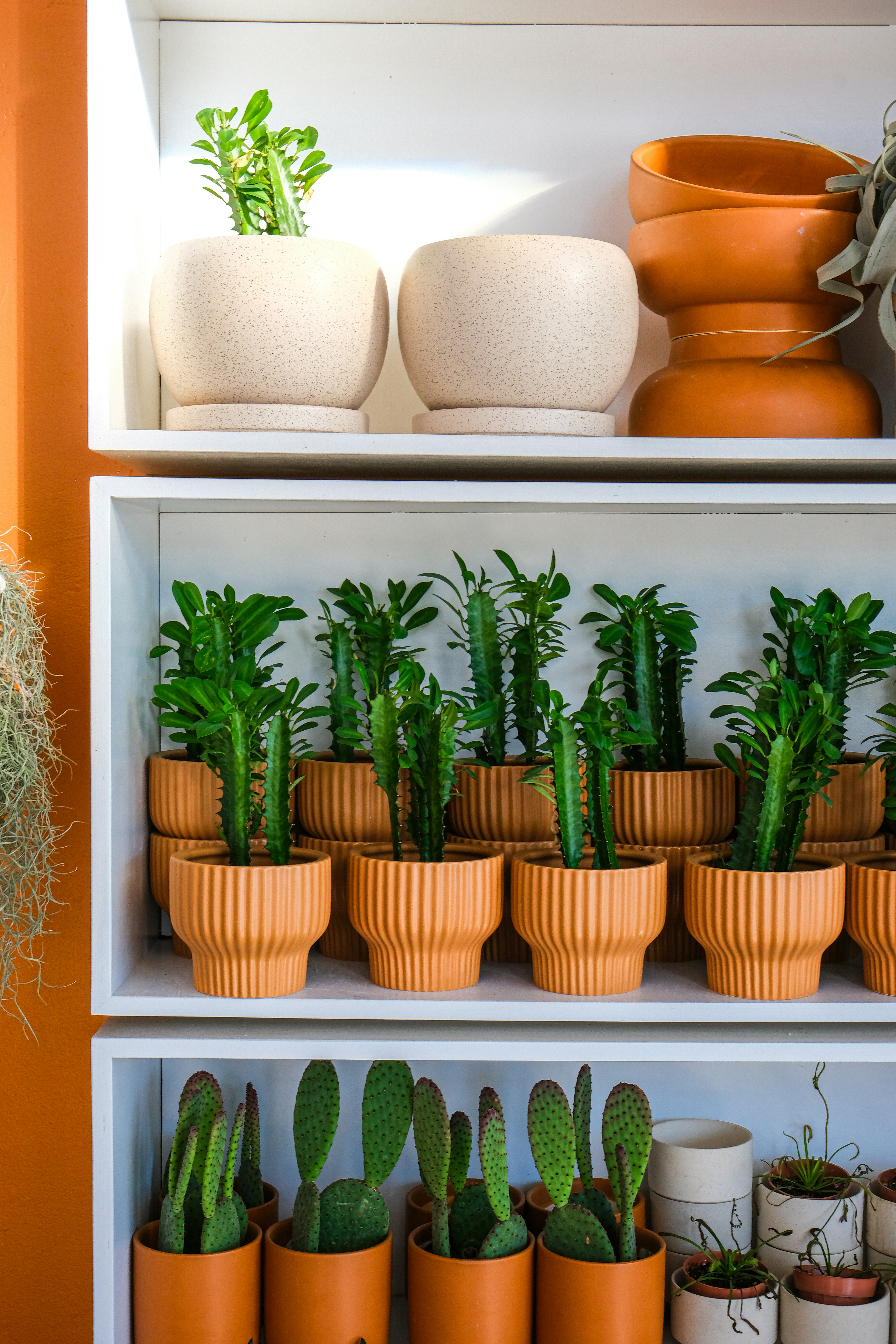 Photo by cestmoisheedy