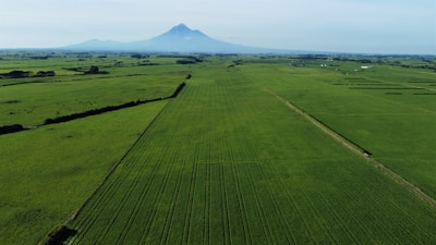 Wide shot of a land parcel with distant mountains.