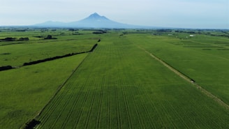 Wide shot of a land parcel with distant mountains.