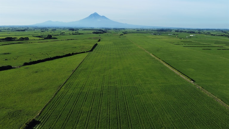 A sweeping view of the Idaho mountains with golden fields in the foreground under a clear blue sky.