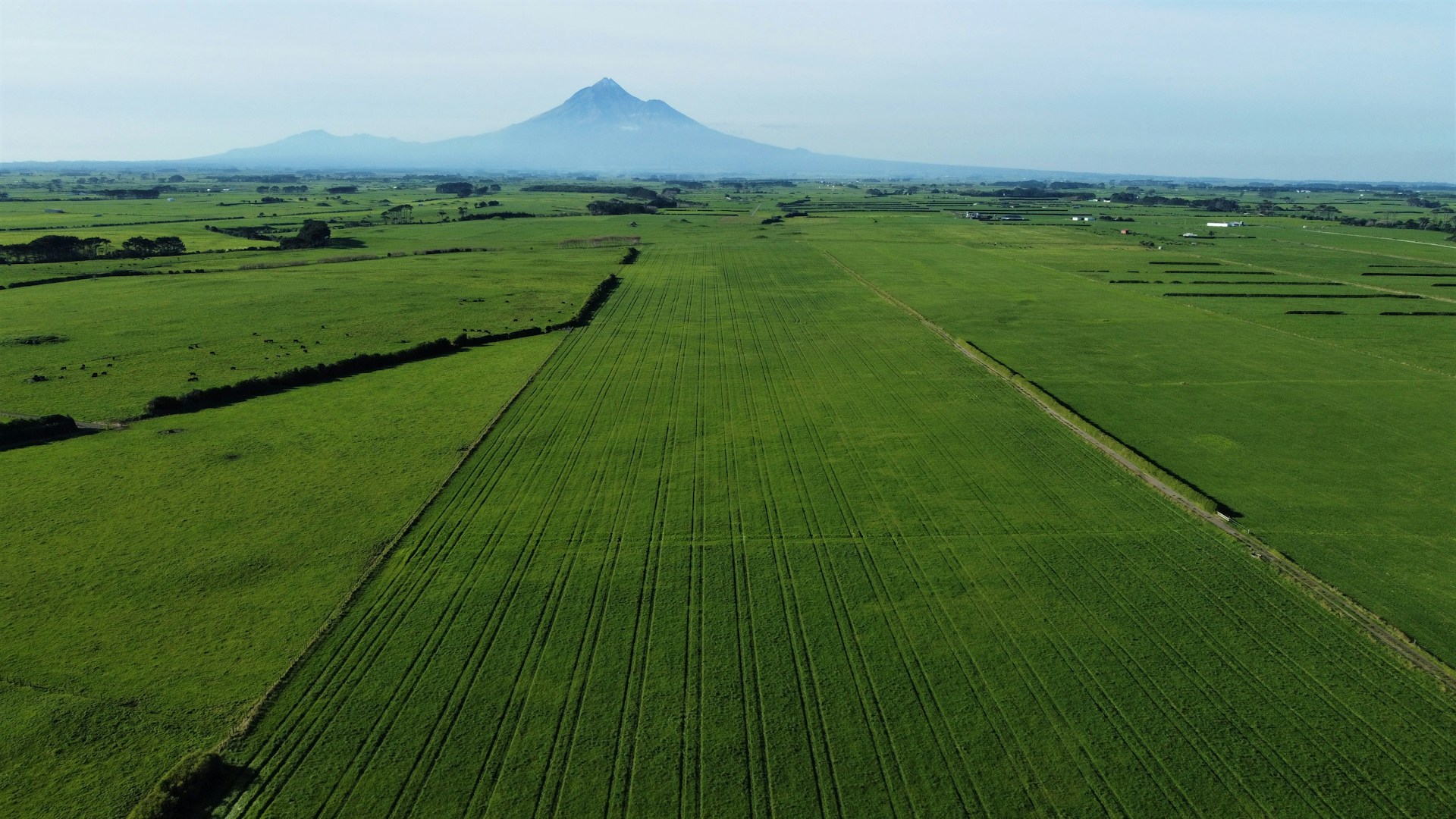 gray computer monitor