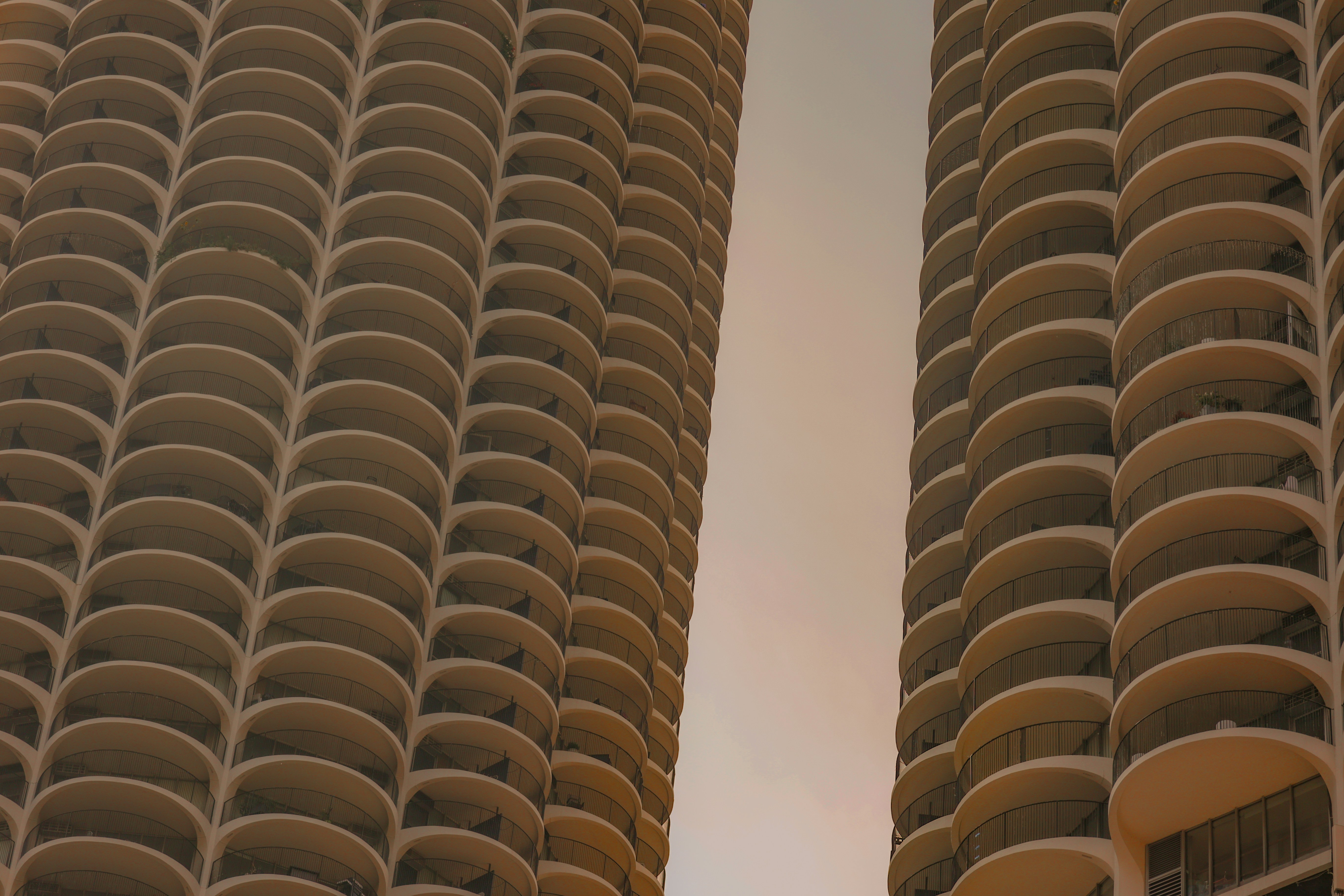 Photo by jossbroward