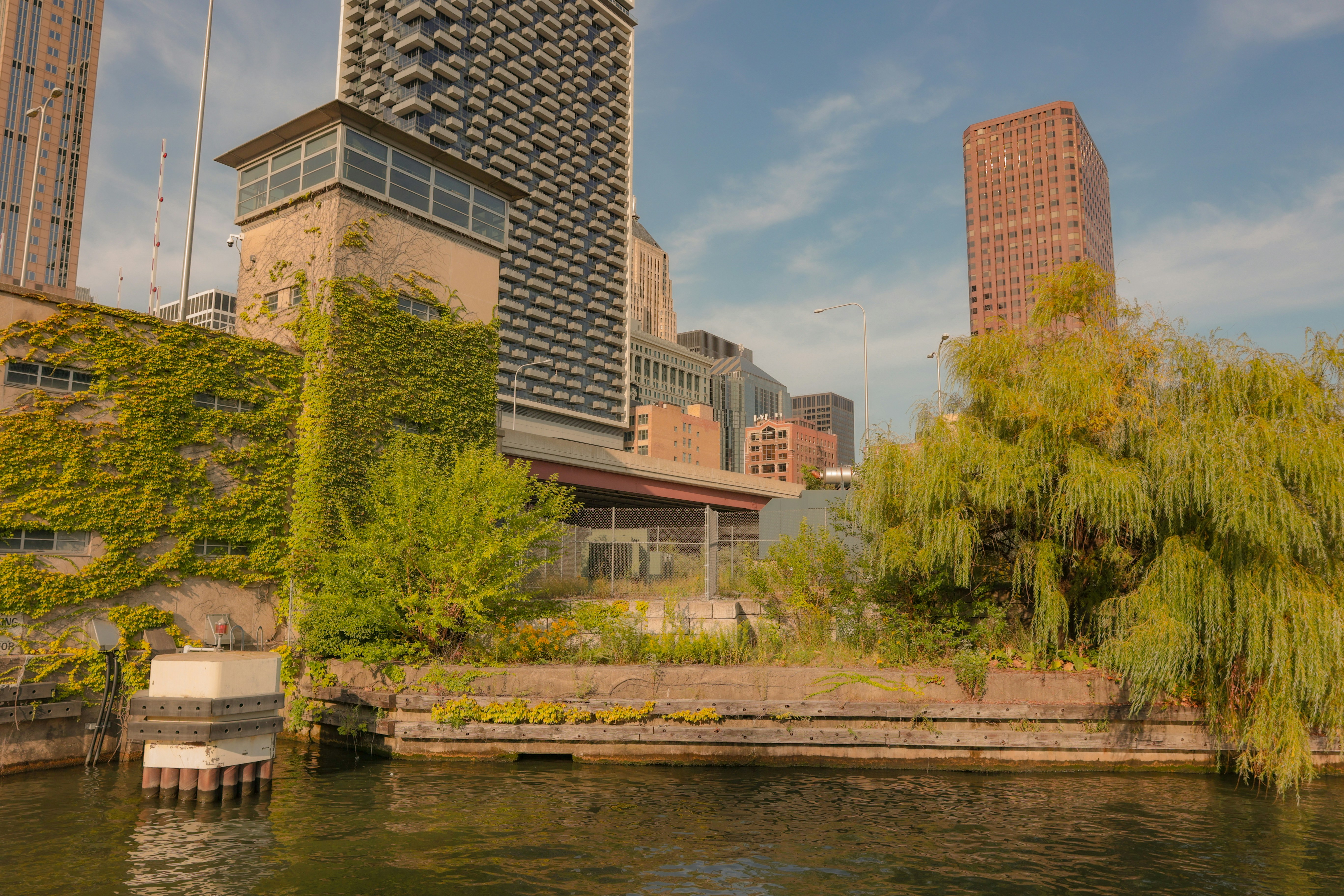 Photo by jossbroward