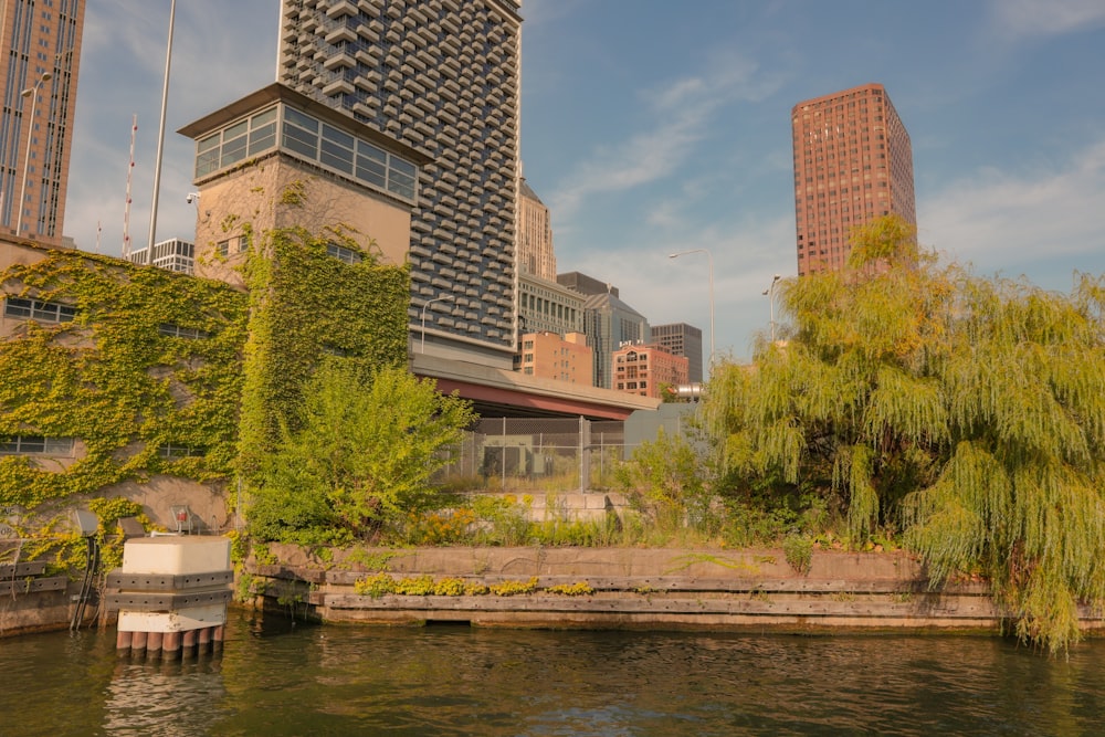 a body of water next to a tall building