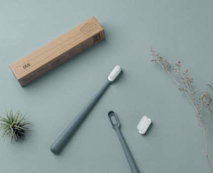 A minimalist flat lay featuring a toothbrush with a gray handle, a removable brush head, and a matching cardboard box labeled 'BRN'. The setup is complemented by a small air plant and a delicate dried sprig, all arranged on a muted teal background.