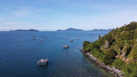 A serene ocean view featuring numerous floating platforms scattered across the water. In the distance, a range of hills forms the horizon and the sky is clear with a light blue hue. To the right, lush green foliage with rocky shorelines creates a contrast against the deep blue of the ocean.