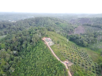 An aerial view of a tropical hillside land parcel with panoramic ocean views.