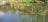 A happy customer standing beside a pond filled with fish.