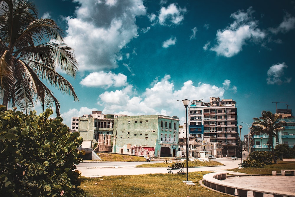 a view of some buildings and a palm tree