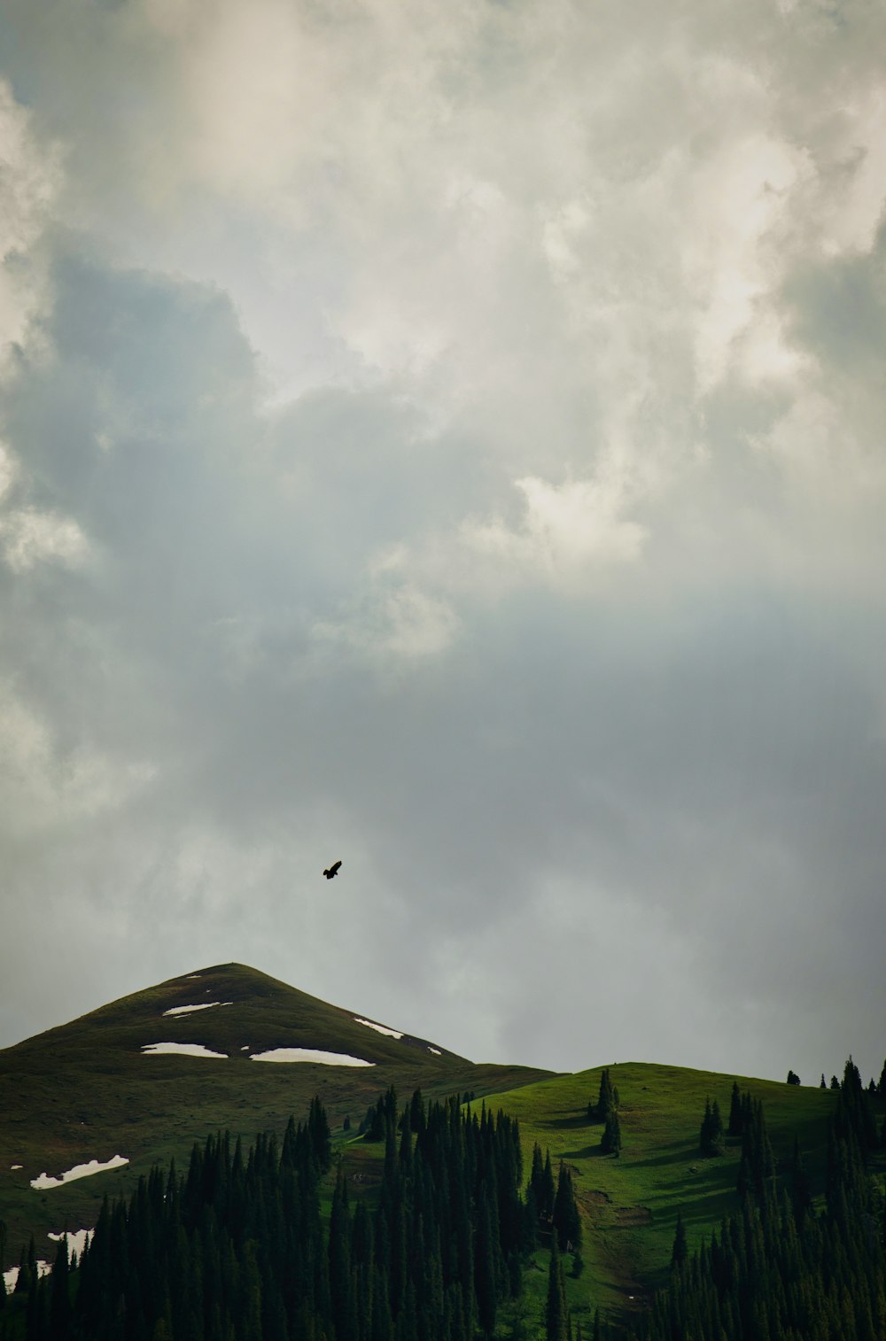 a bird flying over a lush green hillside under a cloudy sky