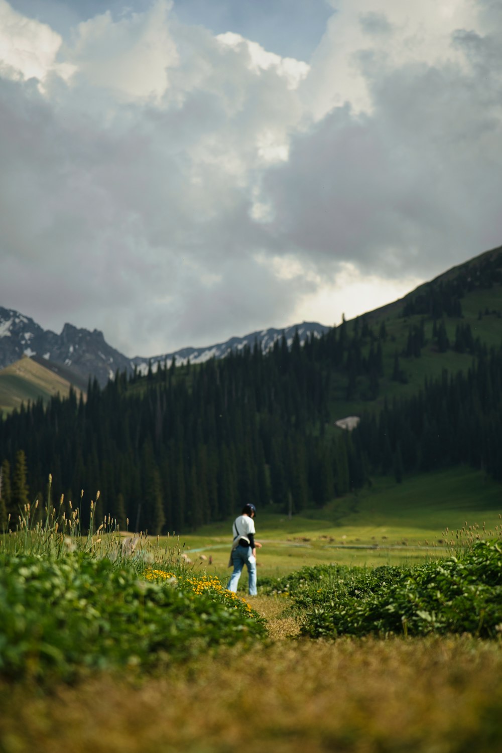 a person walking in a field with mountains in the background