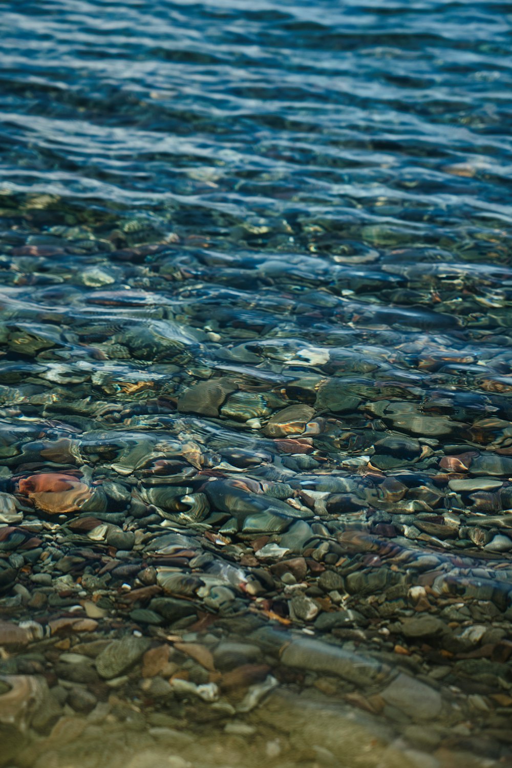 a bird is standing on the rocks in the water