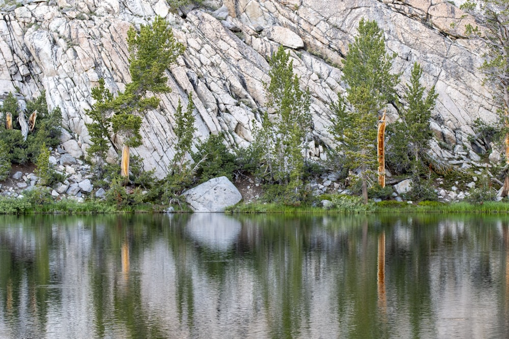 a mountain with trees and rocks reflected in the water