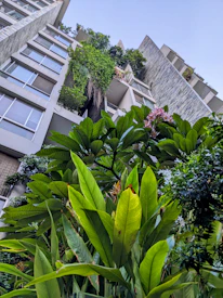 Close-up of sustainable building materials surrounded by tropical plants.