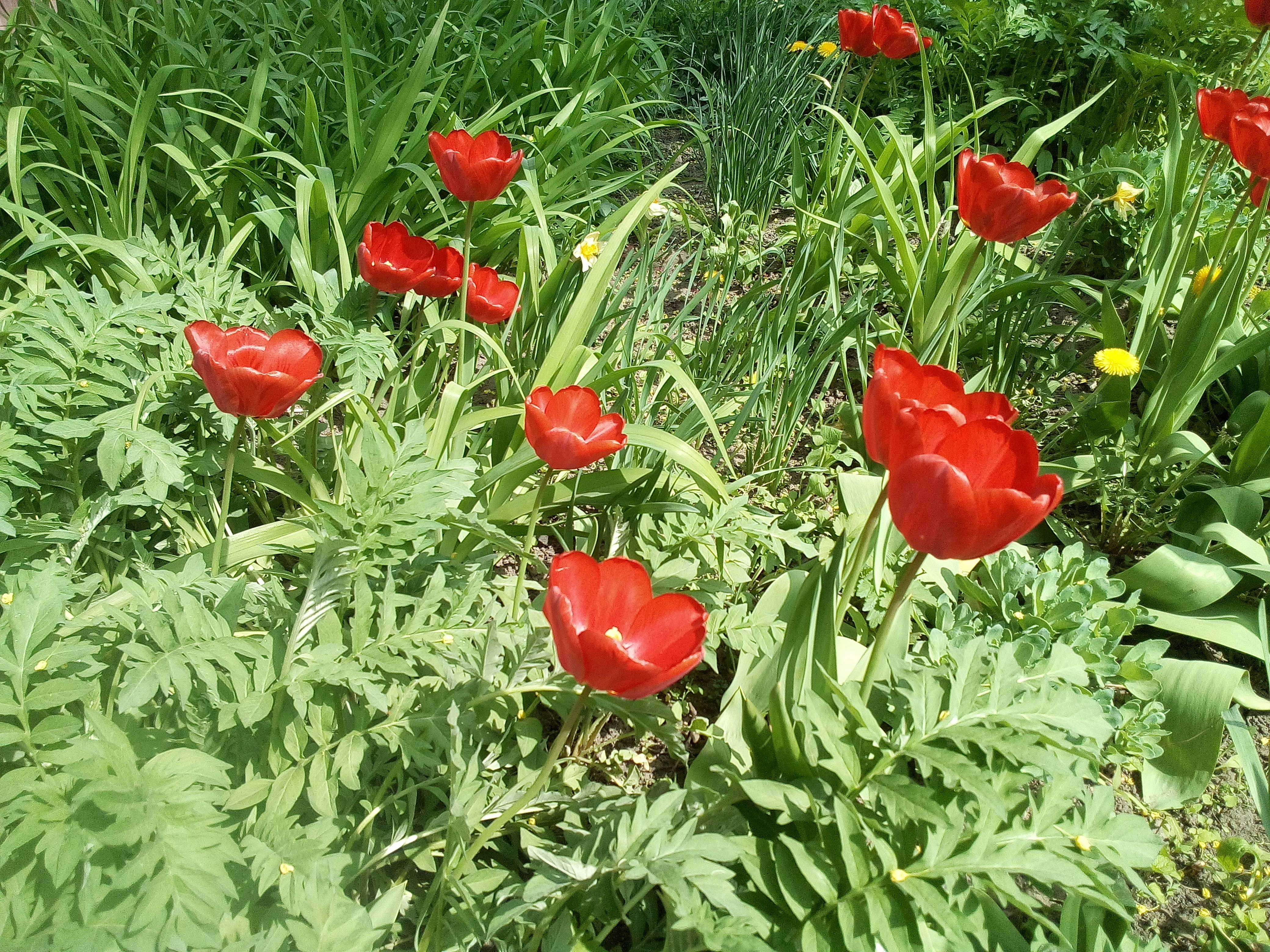 Photo by dmitry_burdakov