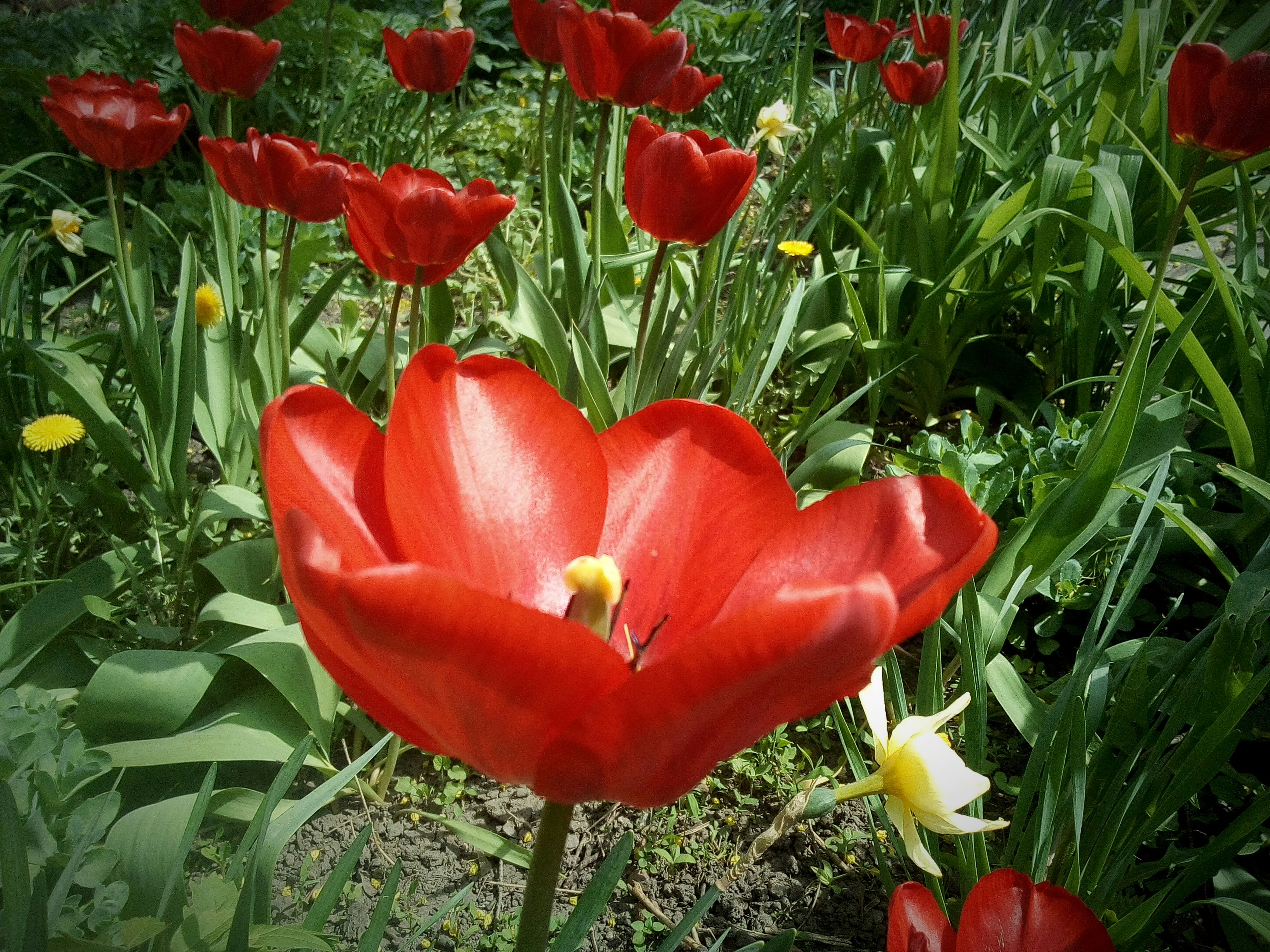 Photo by dmitry_burdakov