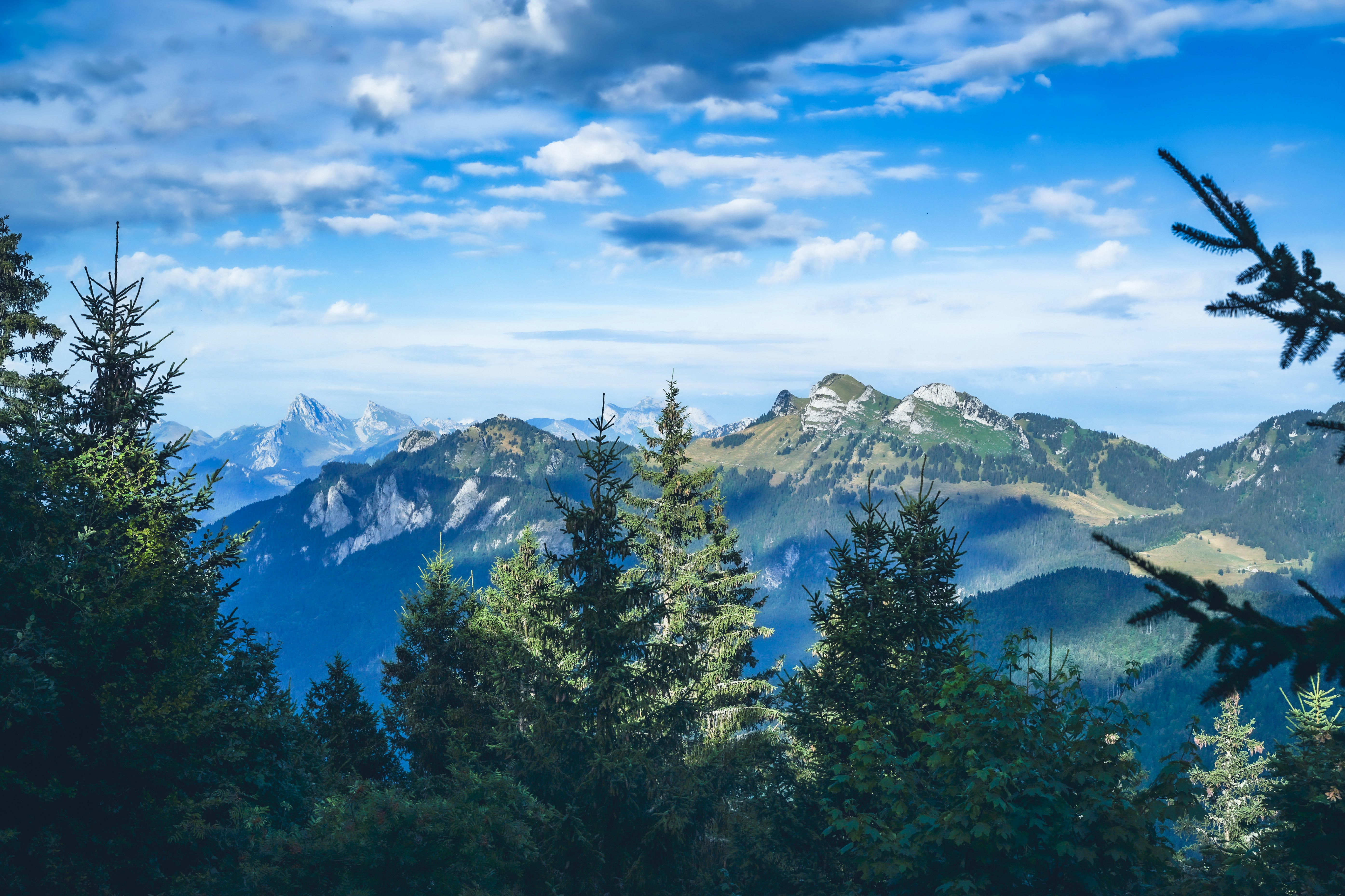 Photo by floriancordier