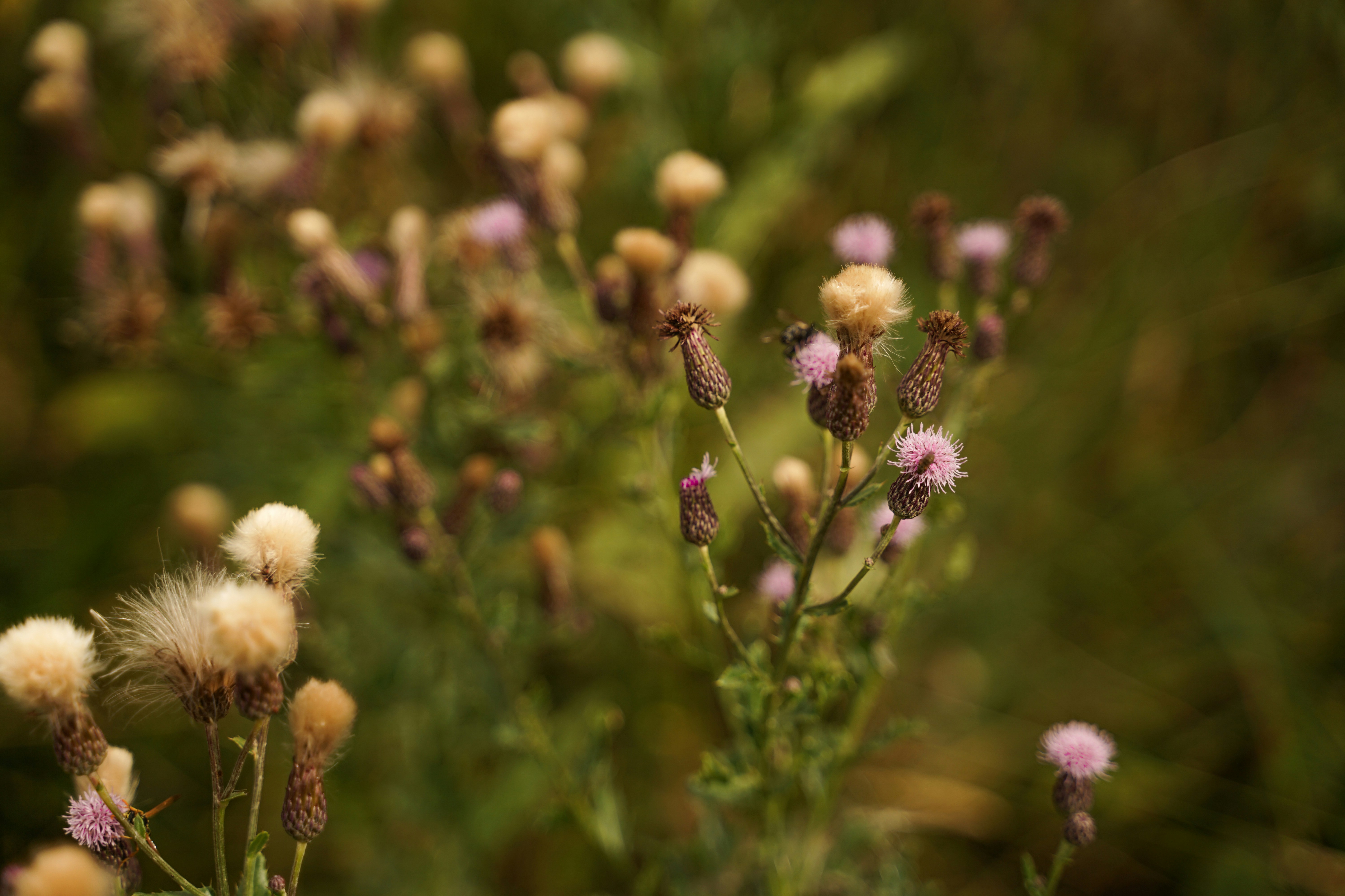 Photo by floriancordier