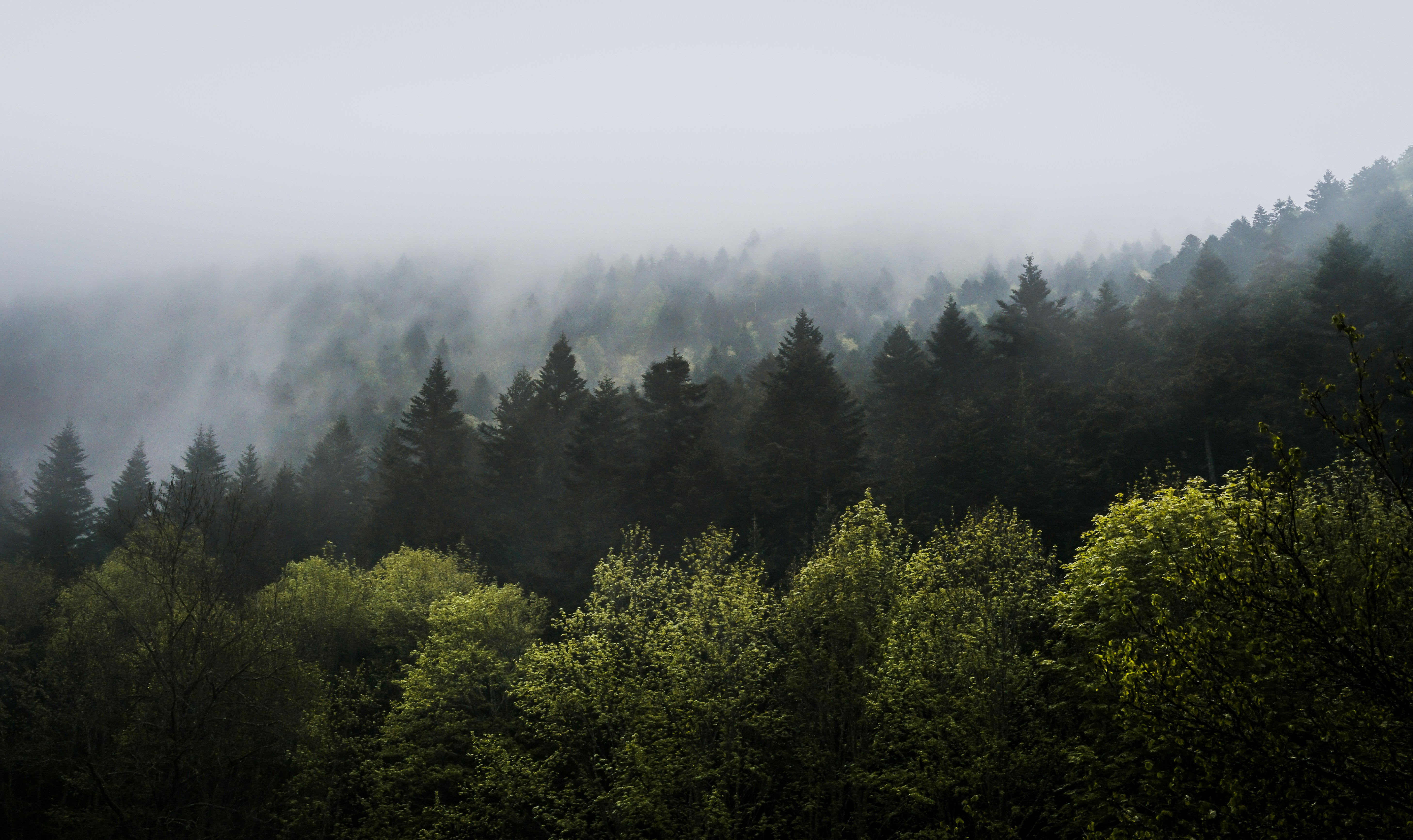 Photo by floriancordier