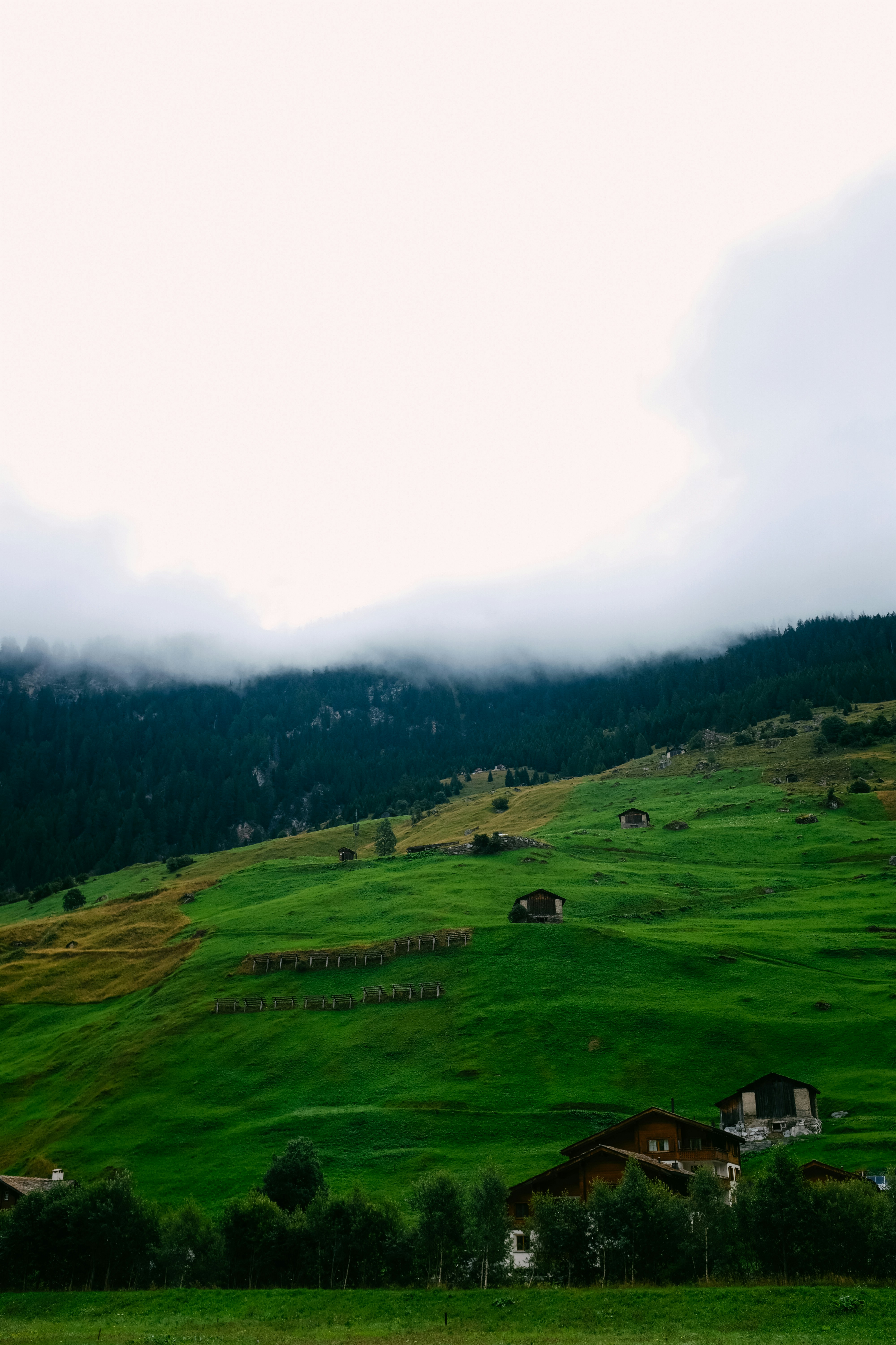 Photo by adrienolichon