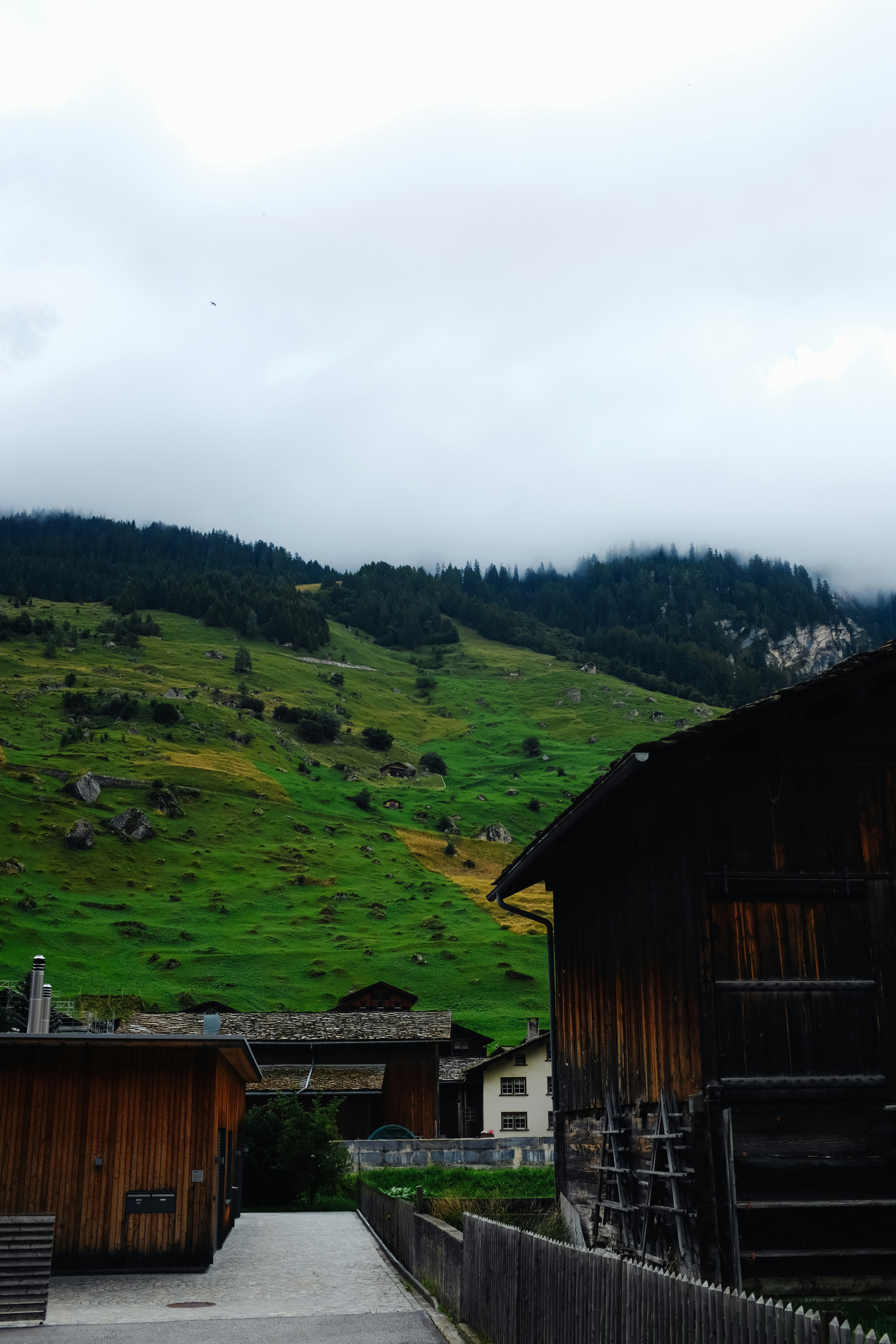 Photo by adrienolichon