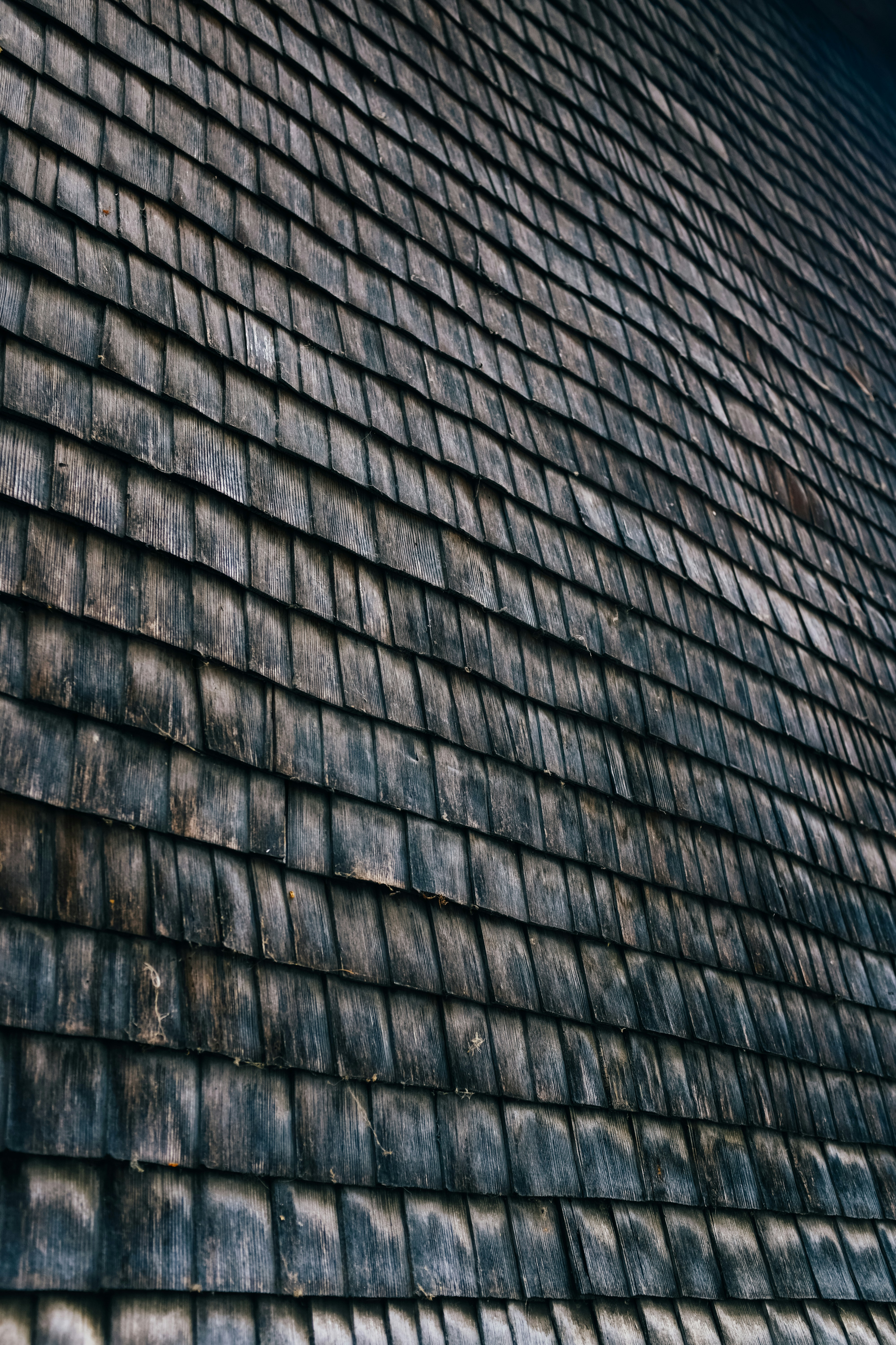 Photo by adrienolichon