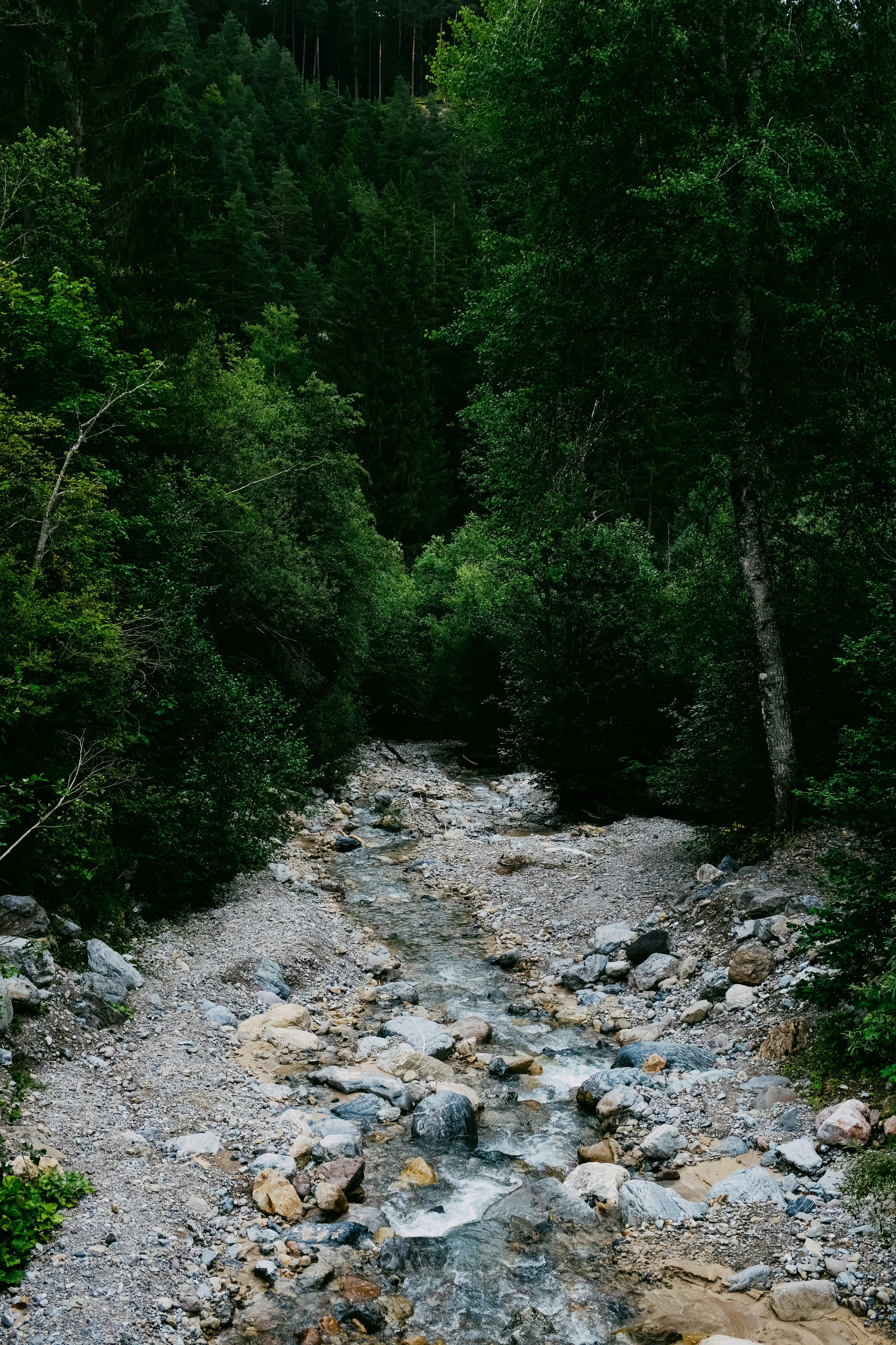 Photo by adrienolichon