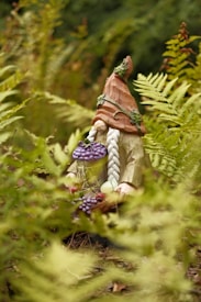 A small garden gnome with a tall, pointed hat and long white braids is placed among lush green ferns. The gnome is holding a small bunch of purple grapes.