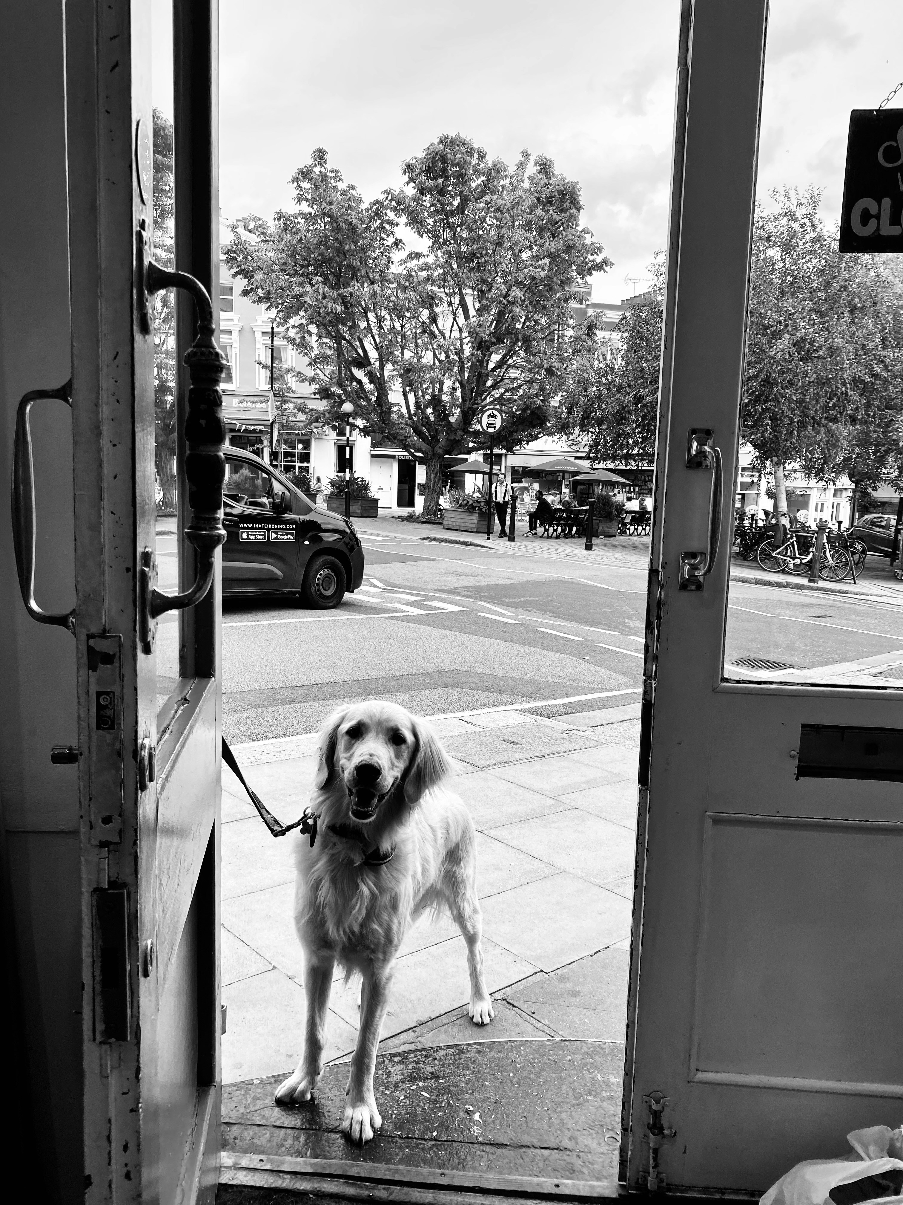 a dog that is standing in front of a door