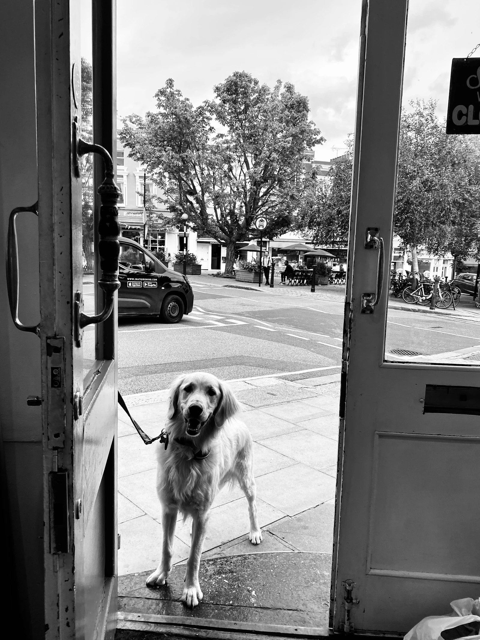 Perro esperando de pie frente a la puerta de un comercio