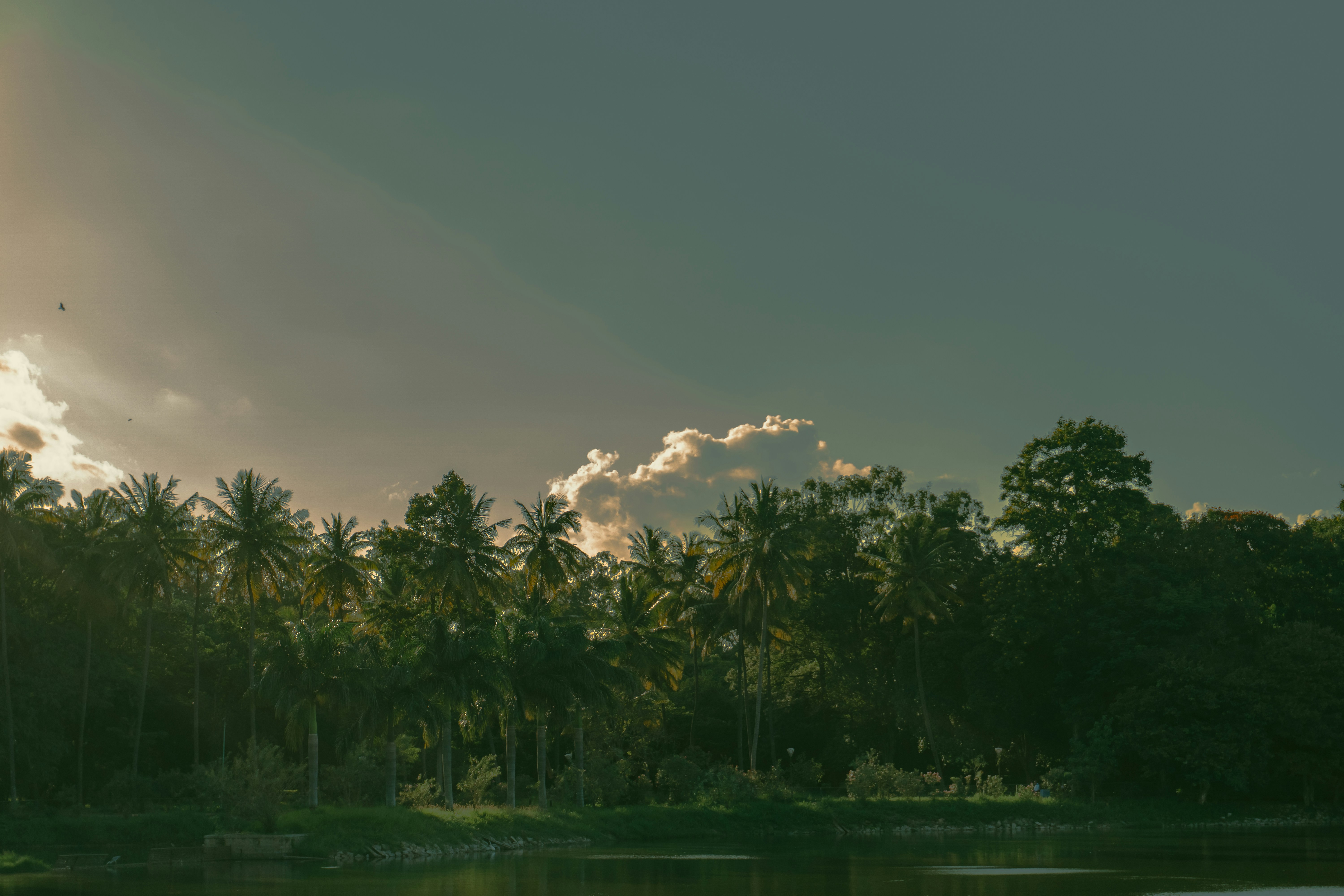 Photo by notsoaakash