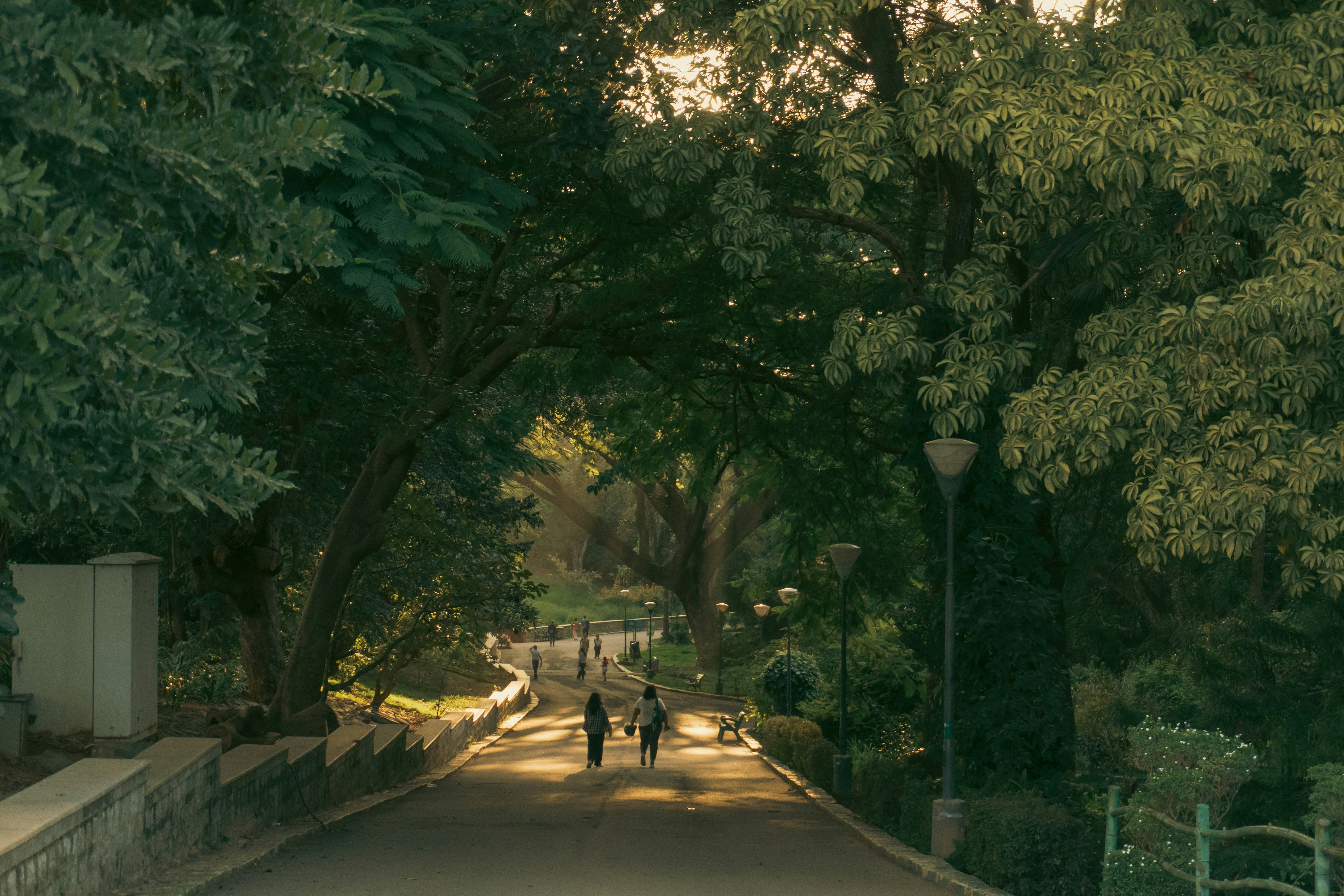 Photo by notsoaakash