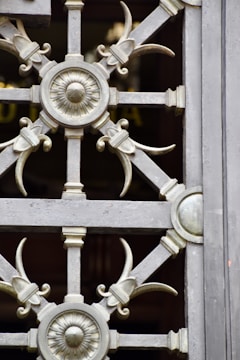 An intricate wrought iron grate featuring symmetrical designs with circular and floral motifs. The metalwork includes elegant curves and decorative elements, combining function with artistic expression.