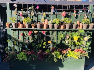 A wooden display features a variety of potted plants and flowers. The structure is painted green and has a grid-like trellis with glass jars holding vibrant flowers. There are terracotta pots arranged neatly at the top, with an assortment of lush greenery and colorful blossoms displayed below.