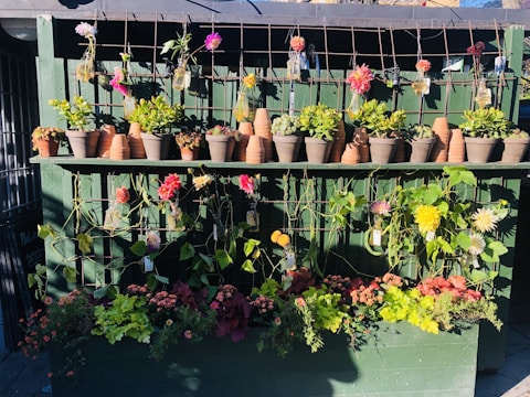 A wooden display features a variety of potted plants and flowers. The structure is painted green and has a grid-like trellis with glass jars holding vibrant flowers. There are terracotta pots arranged neatly at the top, with an assortment of lush greenery and colorful blossoms displayed below.