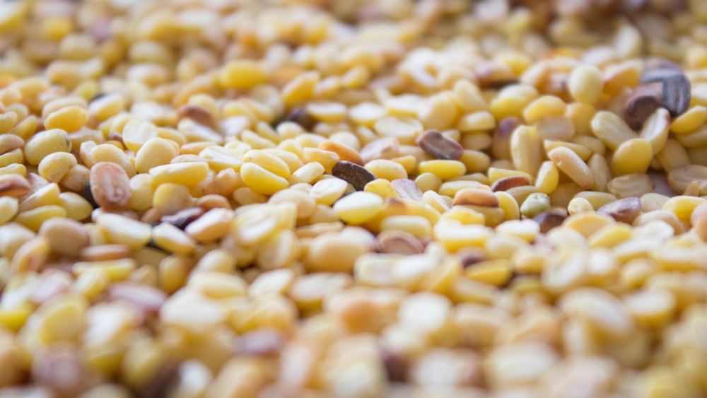 a close up of a pile of corn