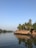 A traditional houseboat is floating on a calm body of water, surrounded by lush palm trees. The clear sky and the reflection in the water add a serene and peaceful atmosphere.