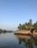 A traditional houseboat is floating on a calm body of water, surrounded by lush palm trees. The clear sky and the reflection in the water add a serene and peaceful atmosphere.