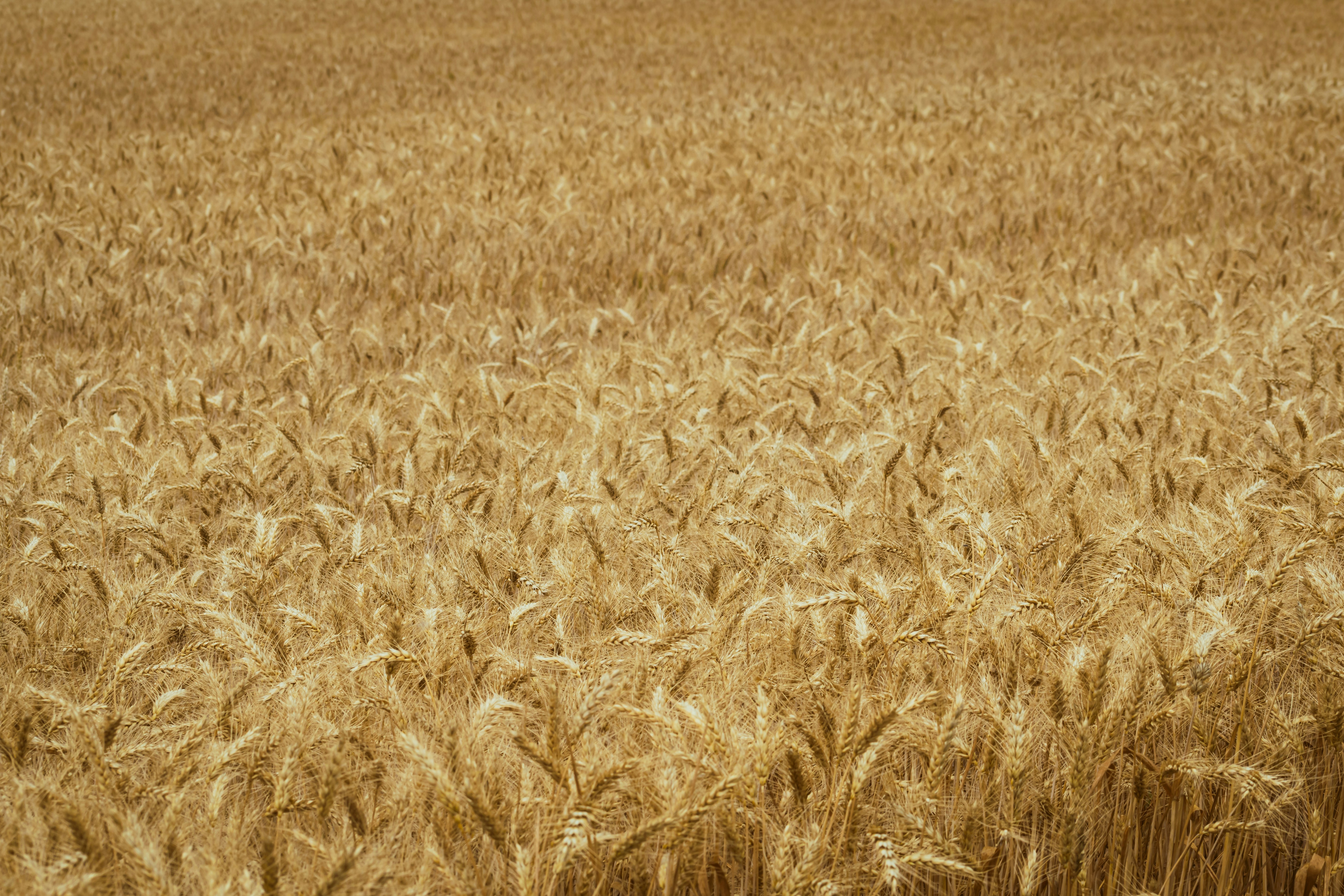 Photo by niki_emmert